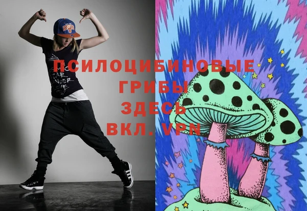 дмт Алексеевка