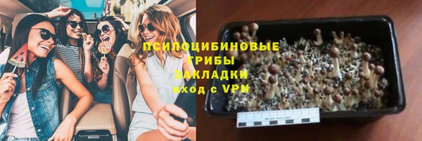 экстази Дмитриев