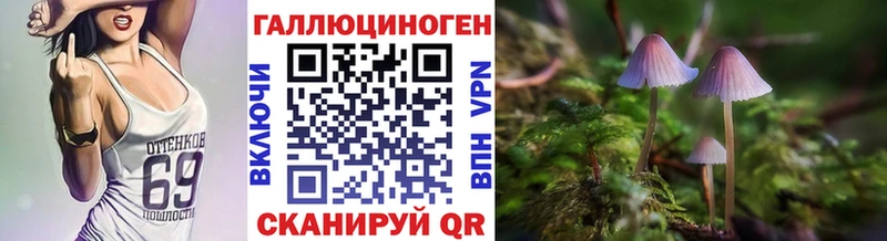 Псилоцибиновые грибы прущие грибы Починок