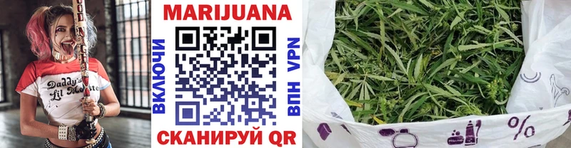 Конопля гибрид Починок